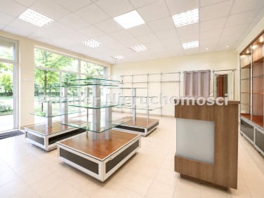 Lokal Toruń