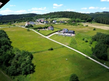 Działka Trzetrzewina