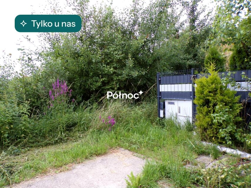 Działka przy lesie