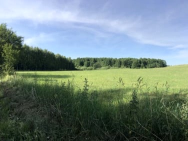 Pusta działka Michałki