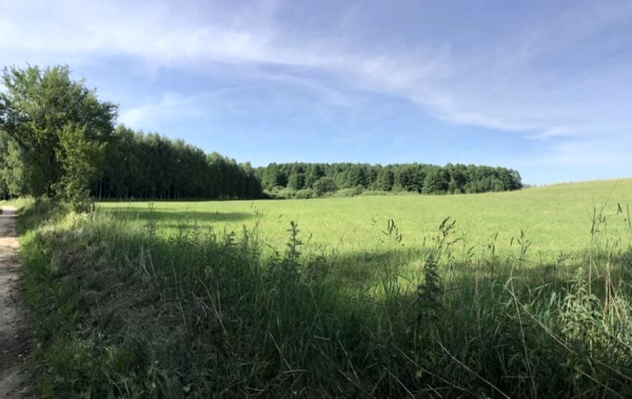 Pusta działka Michałki
