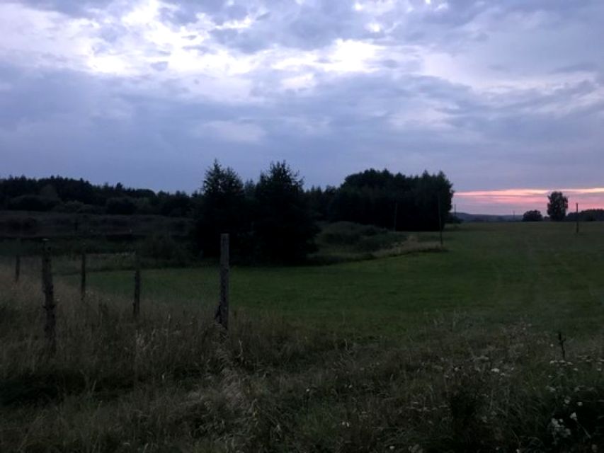Zdjęcie 2