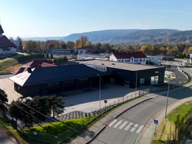 Lokal Nowy Sącz
