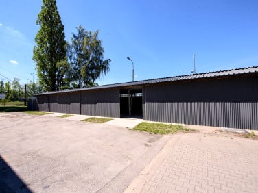 Lokal Warszawa