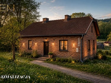 Dom Niepla sprzedaż