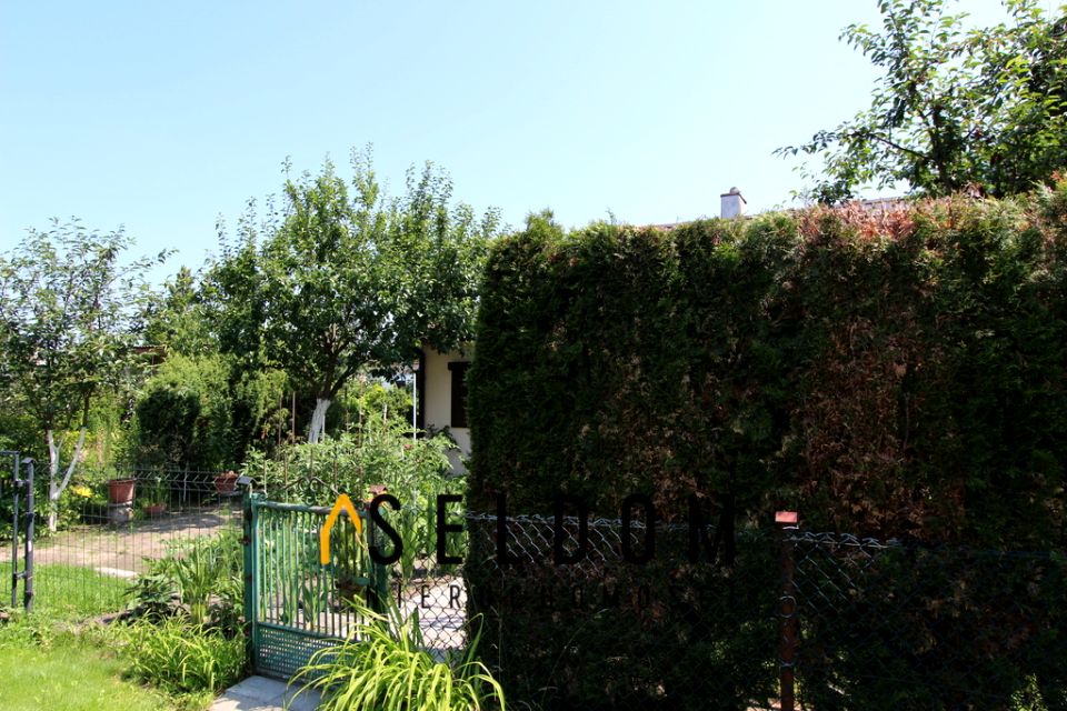 Zdjęcie 3