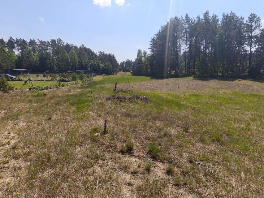 Działka rekreacyjna Zdunowice