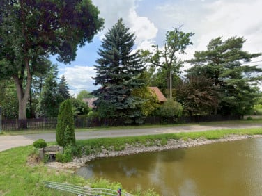 Działka siedliskowa Wojny