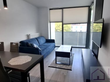Mieszkanie apartamentowiec wynajem