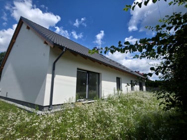 Dom Suchy Bór