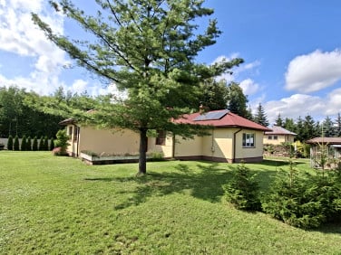 Dom Porosły-Kolonia