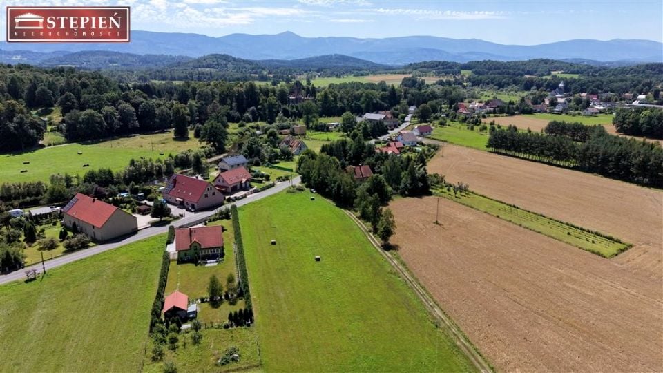 Zdjęcie 2