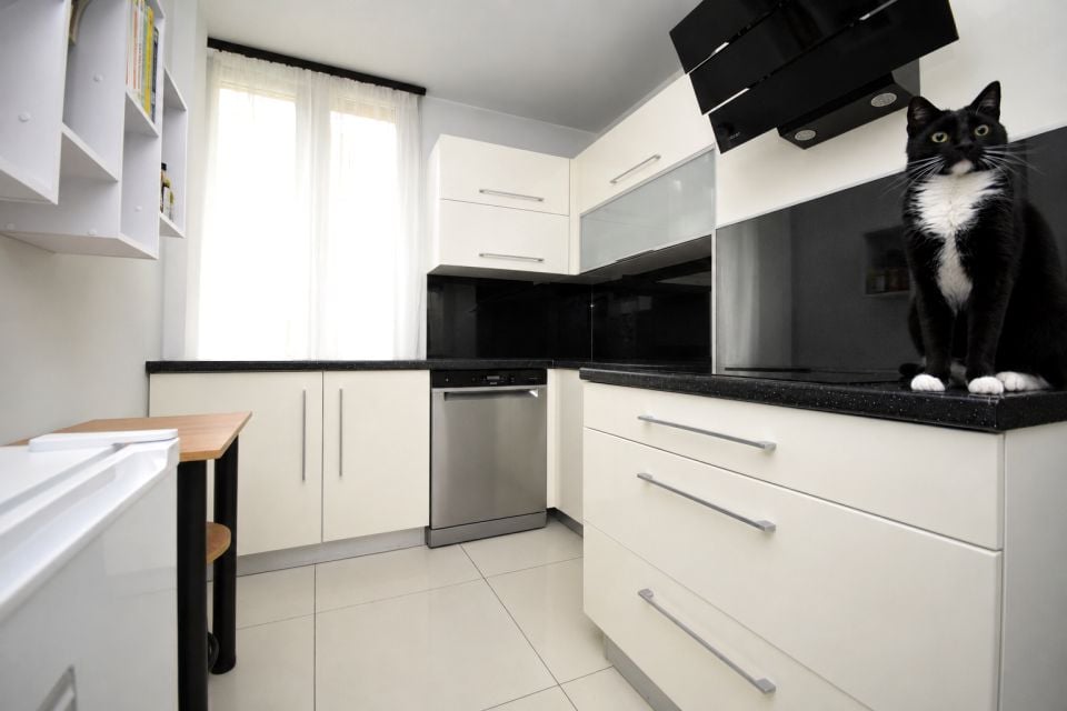 Apartment in Jaworzno, Łubowiec, Dąbrowa Narodowa - Widok 6