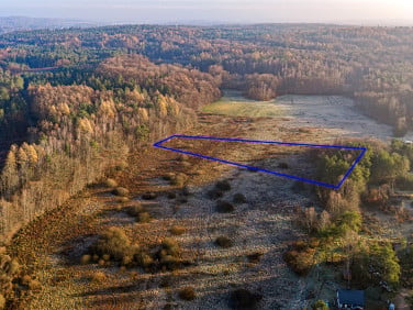 Działka Leśniewo