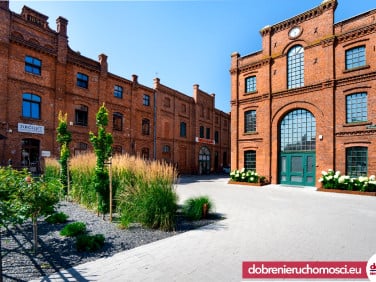 Lokal Toruń