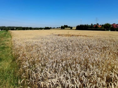 Działka rolna Mikołów