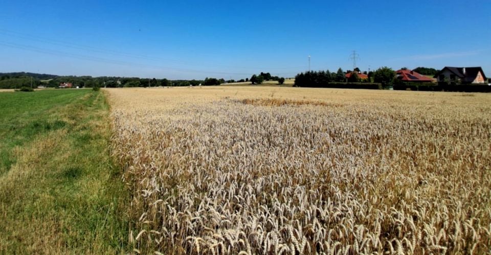 Działka rolna Mikołów