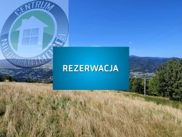 Działka Piwniczna