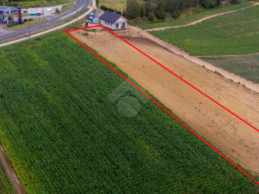 Pusta działka Proszowice