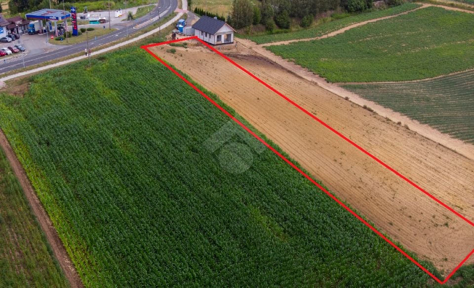 Pusta działka Proszowice