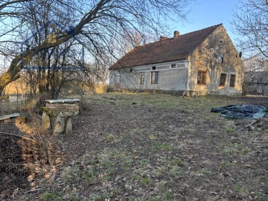 Działka Tłokowo