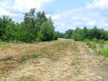 Działka budowlana Sowia Wola Folwarczna