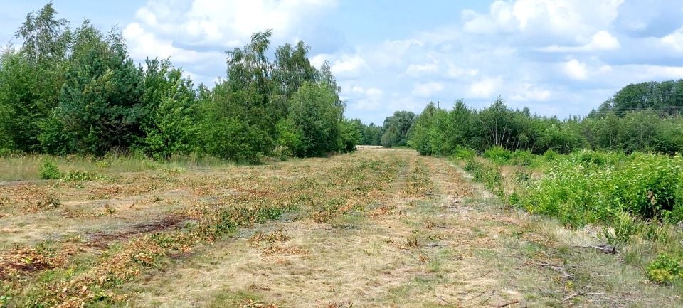 Działka budowlana Sowia Wola Folwarczna