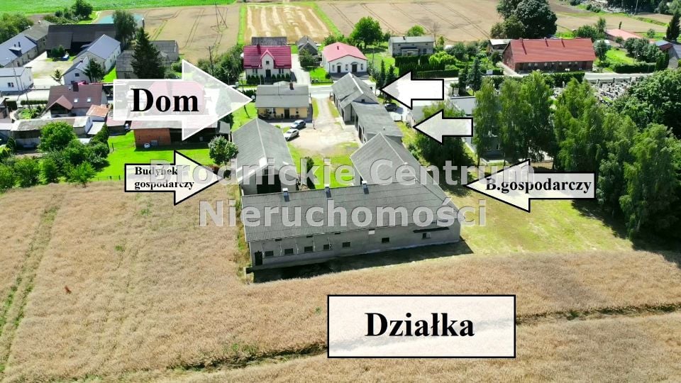 Zdjęcie 2