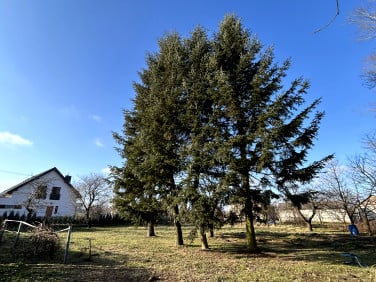 Działka siedliskowa Jacków