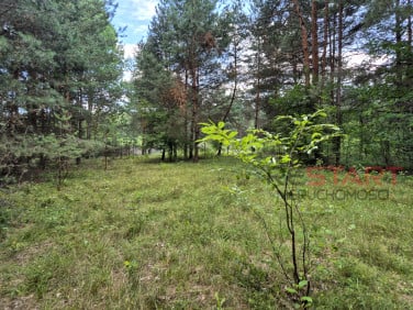 Działka budowlana Marynin