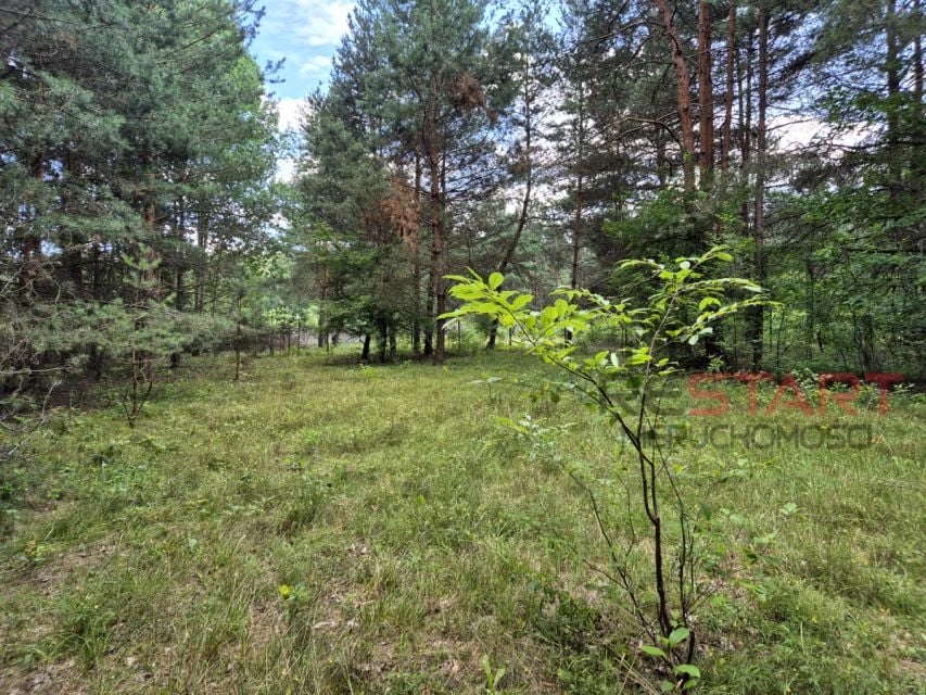 Działka budowlana Marynin