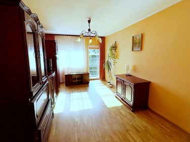 Mieszkanie Łódź sprzedaż