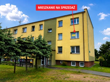 Mieszkanie Koczała