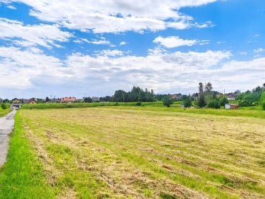 Działka rolna Jejkowice