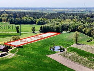 Działka Gulb