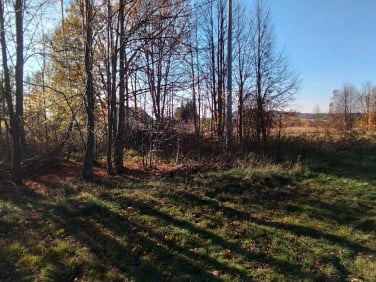 Działka budowlana Świecie