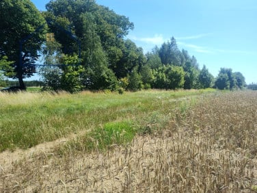 Działka usługowa Burkat