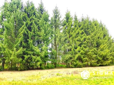 Działka budowlana Radonie
