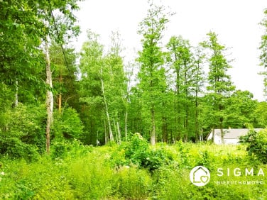 Działka budowlana Adamów-Parcel