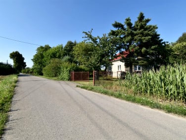 Dom Rogóżno