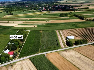 Dom Rogóżno