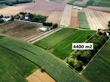Dom Rogóżno
