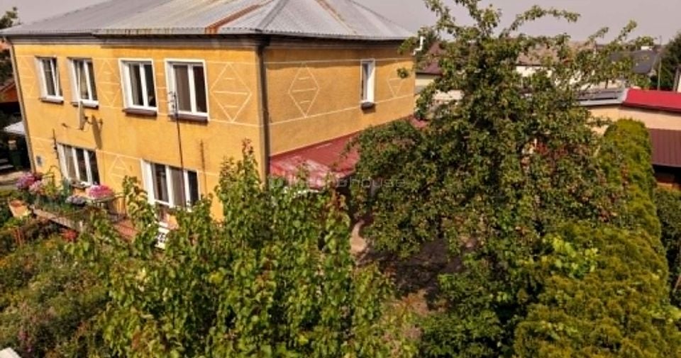 Zdjęcie 3
