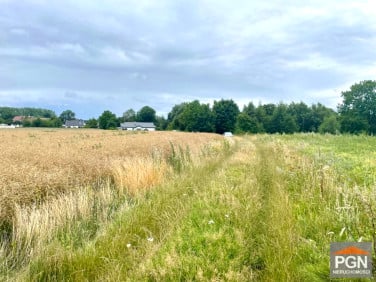 Działka Trzebiatów