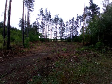 Działka budowlana Ostrów Mazowiecka