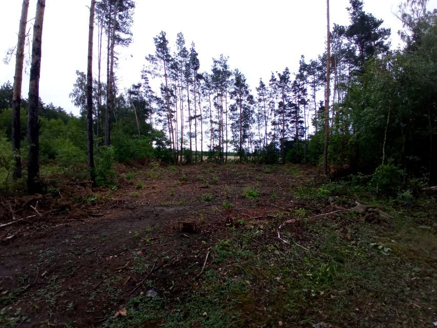 Działka budowlana Ostrów Mazowiecka