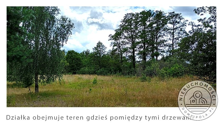 Zdjęcie 3