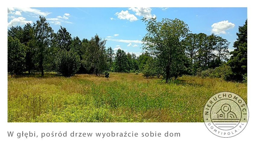 Zdjęcie 2