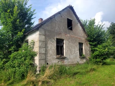 Dom Łebki Duże