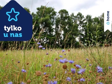 Działka Prądki
